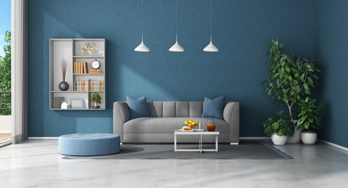 Blue living room with sofa and bookcase