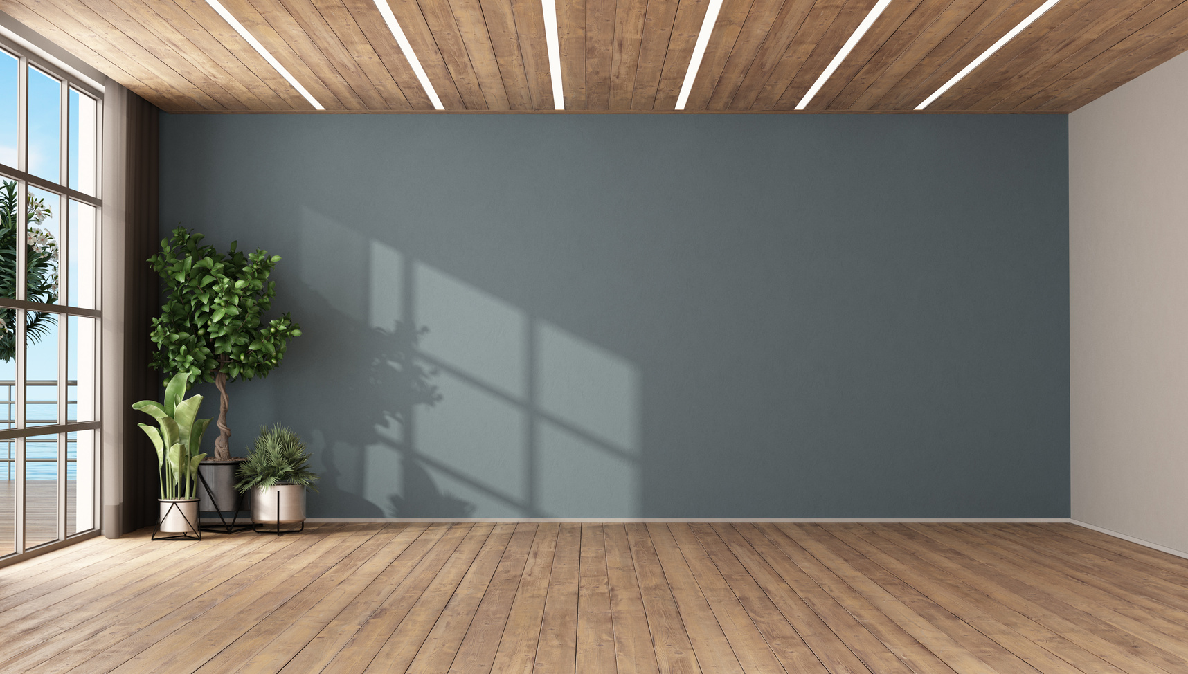 Empty room with plants and blue wall